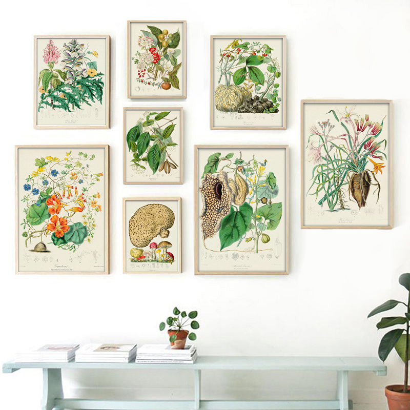Botanical Collection Vintage P - огляд і ціна Vintage Collectible Posters