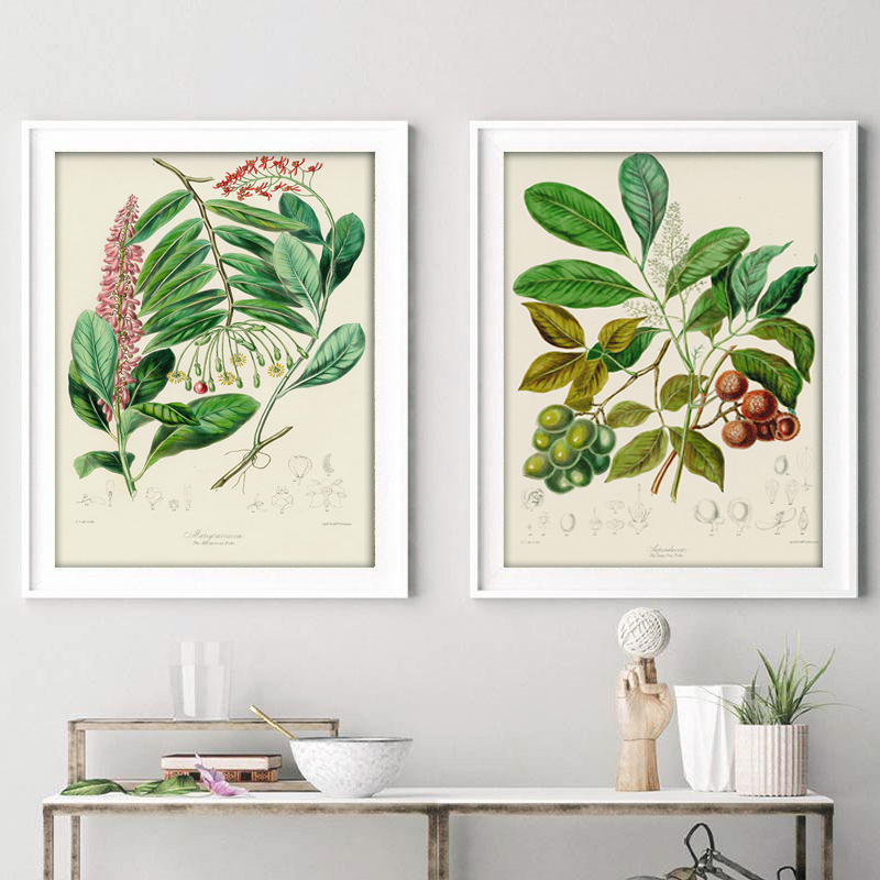 Botanical Collection Vintage P - огляд і ціна Vintage Collectible Posters