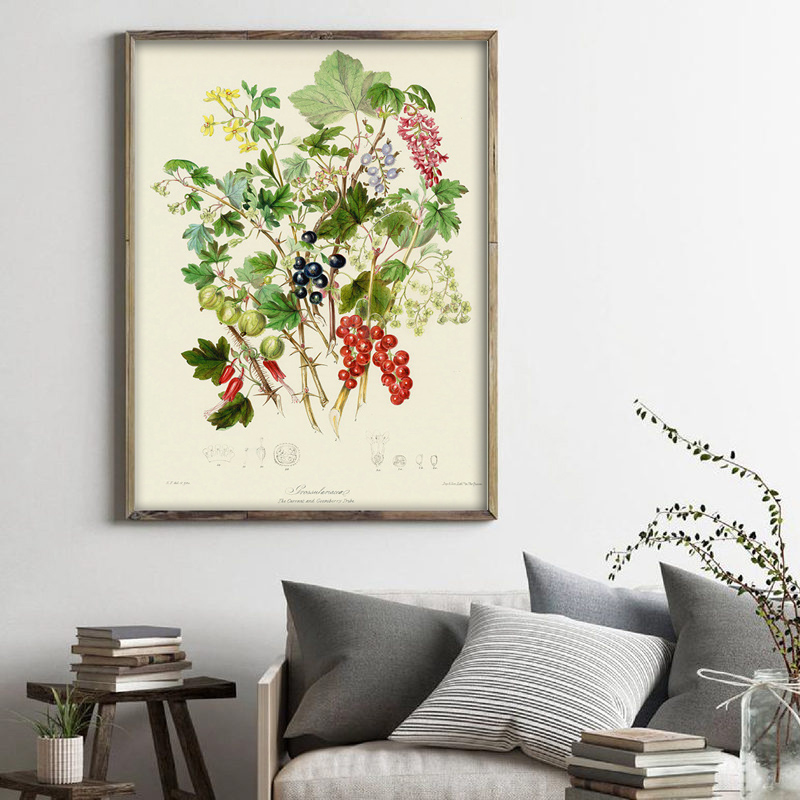 Botanical Collection Vintage P - огляд і ціна Vintage Collectible Posters